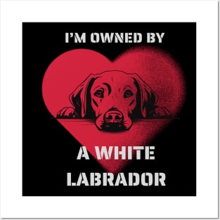 I am Owned by a White Labrador Retriever Gift for  Labrador Lovers Posters and Art